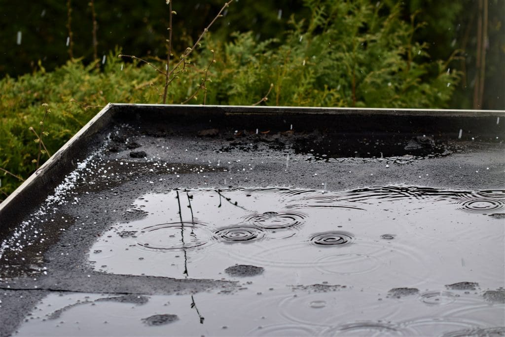 A close-up view of a flat rooftop with puddles of water and small white hailstones, showing raindrops creating ripples on the surface, with green foliage in the background.